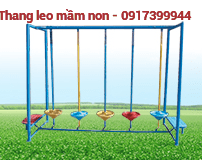 Thang leo trụ PGSP308